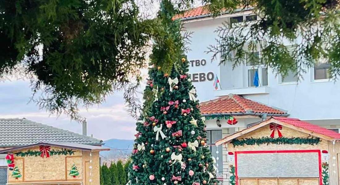 Утре запалват светлините на коледната елха в Старцево 