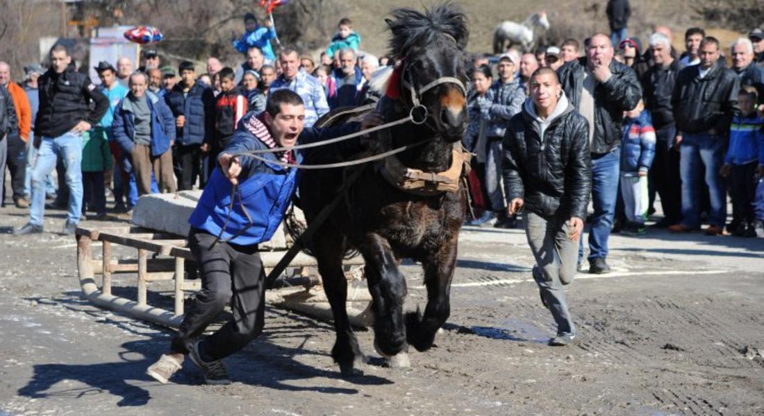 Тодоровден в Чепеларе!