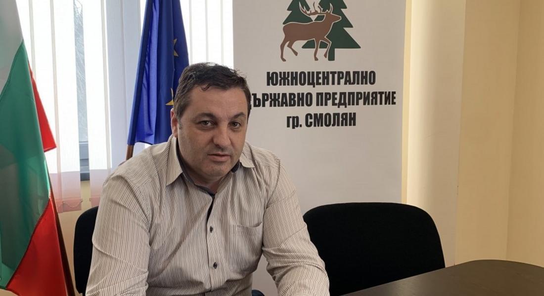 Пазарът на строителна дървесина се успокоява след рекордните цени, достигнати през 2022г.