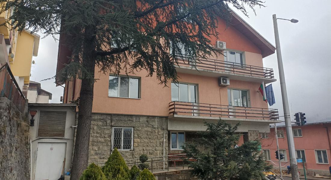 Прирастът на горите в област Смолян е 1 млн. кубика на година