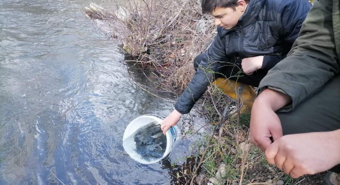 Зарибиха с балканска пъстърва река Девинска