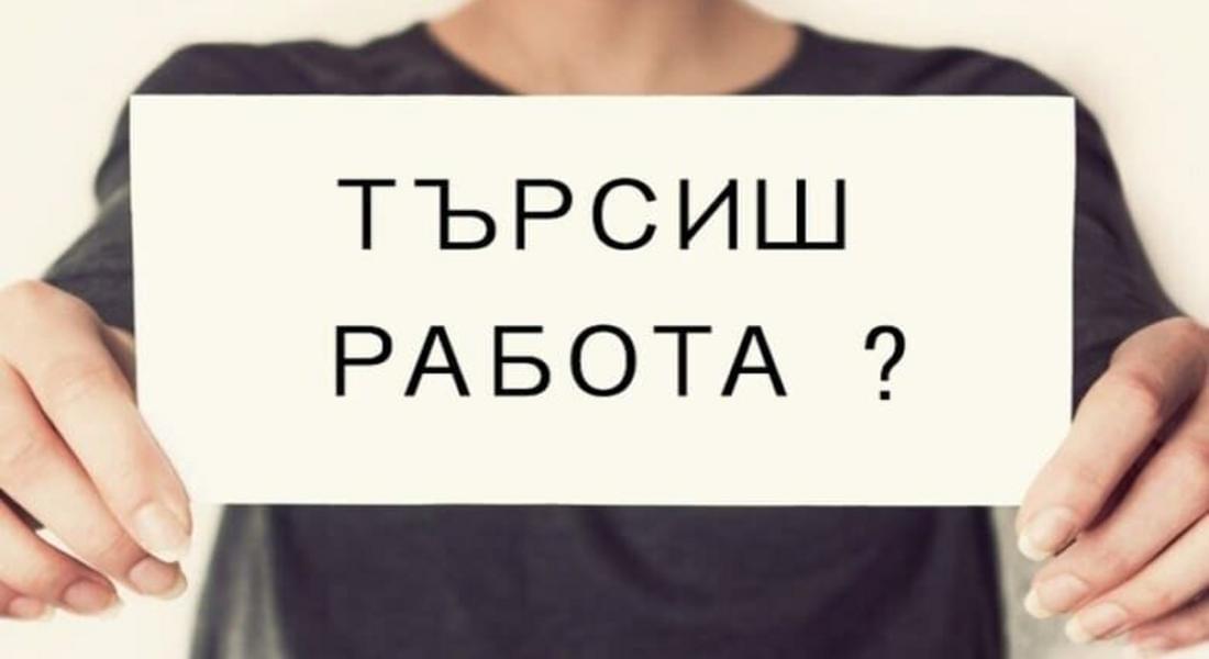СВОБОДНИ   РАБОТНИ    МЕСТА