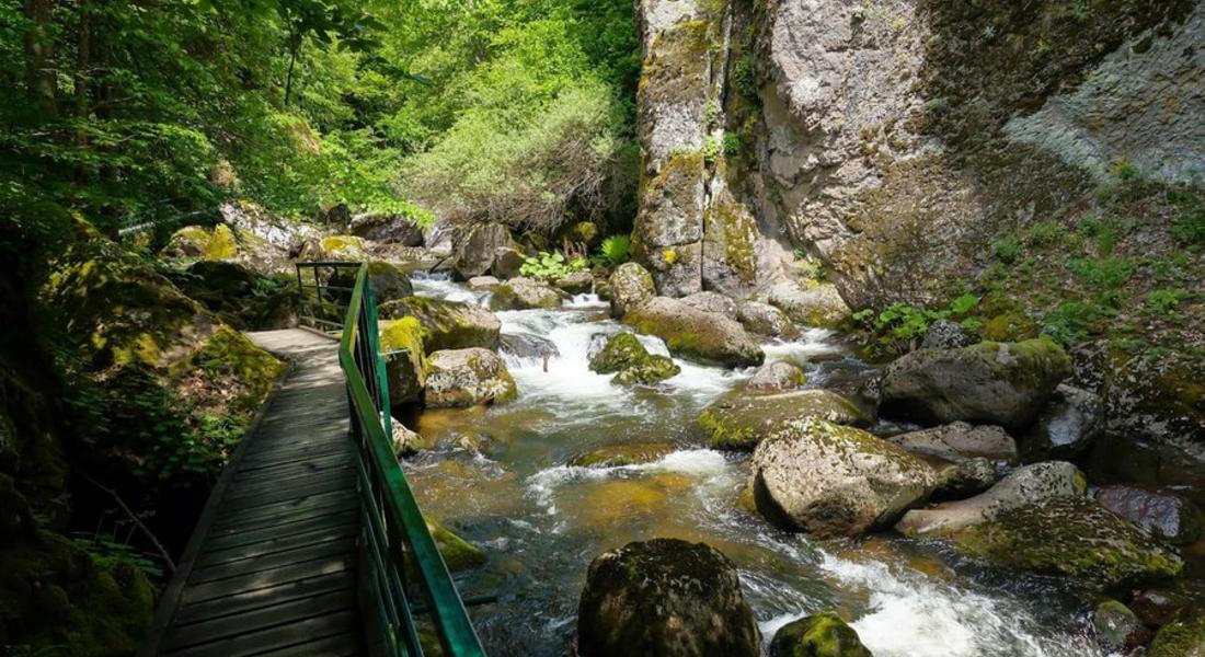Сигнал за умряла риба и пяна в река Девинска провериха регионалните  структури на МОСВ