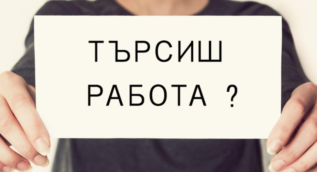 Трудова борса за работодатели и търсещи работа лица организира Бюрото по труда в Смолян