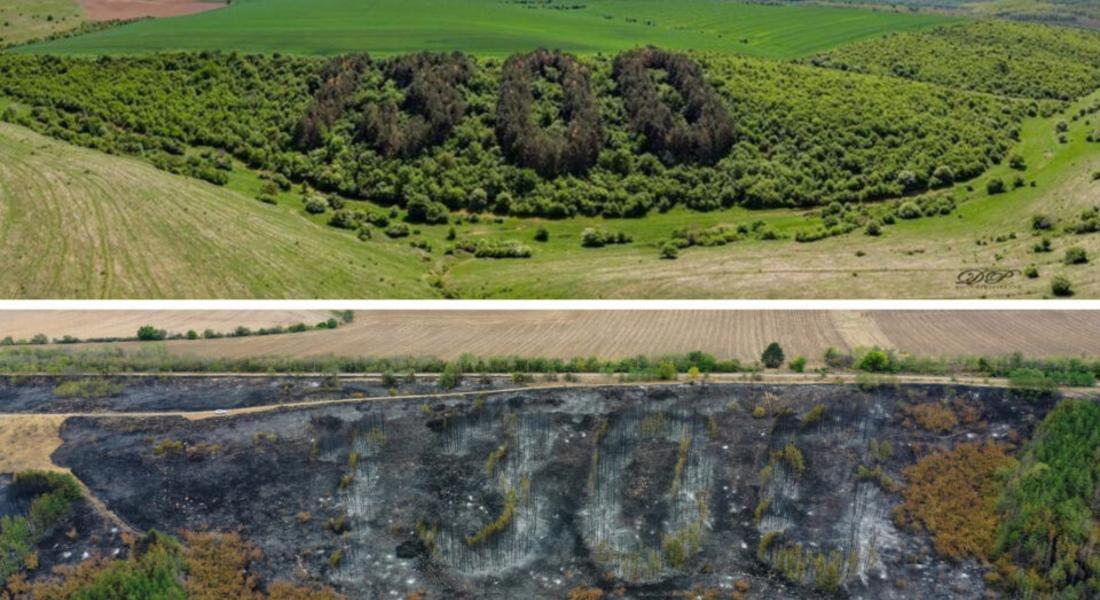 Пожар изпепели „1300 години България“. Гората.бг с обещания да я възтановят!