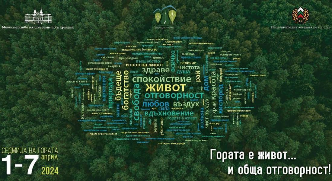 С редица инициативи ЮЦДП отбелязва Седмицата на гората 2024г.