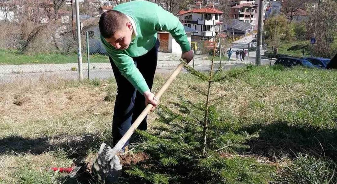 Лесовъди учат младите ресторантьори как да ползват горски дарове  
