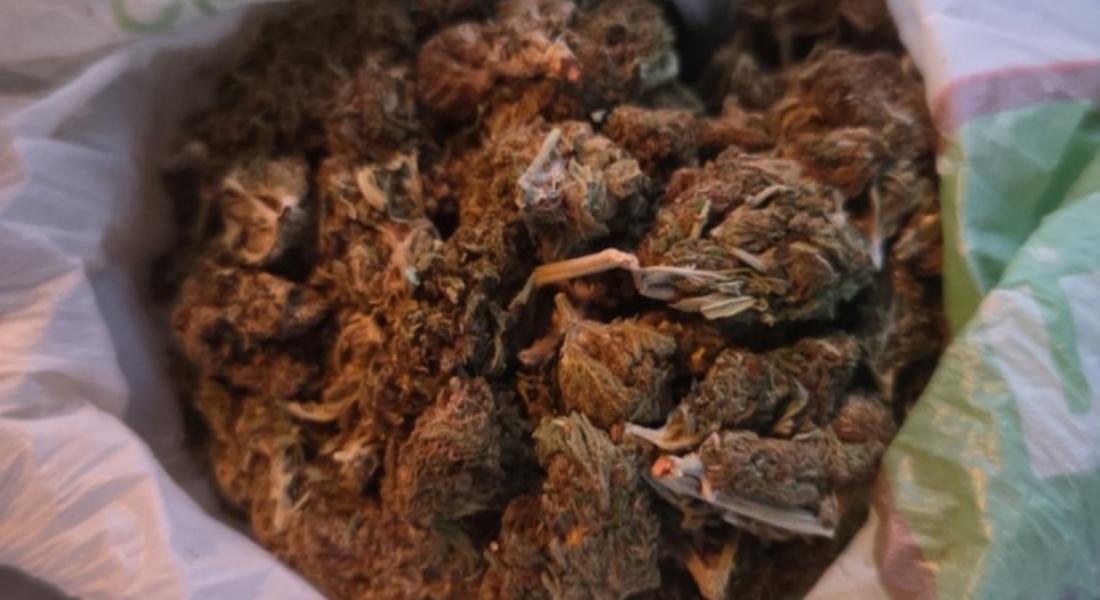 Намериха 2 кг марихуана в дома на мъж след сигнал за самоубийство в Смолянско