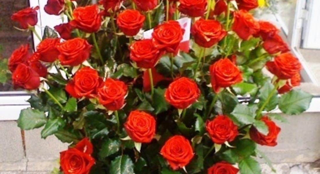 Днес празнуват всички, носещи имената Аксения, Аксиния, Ксения и Оксана
