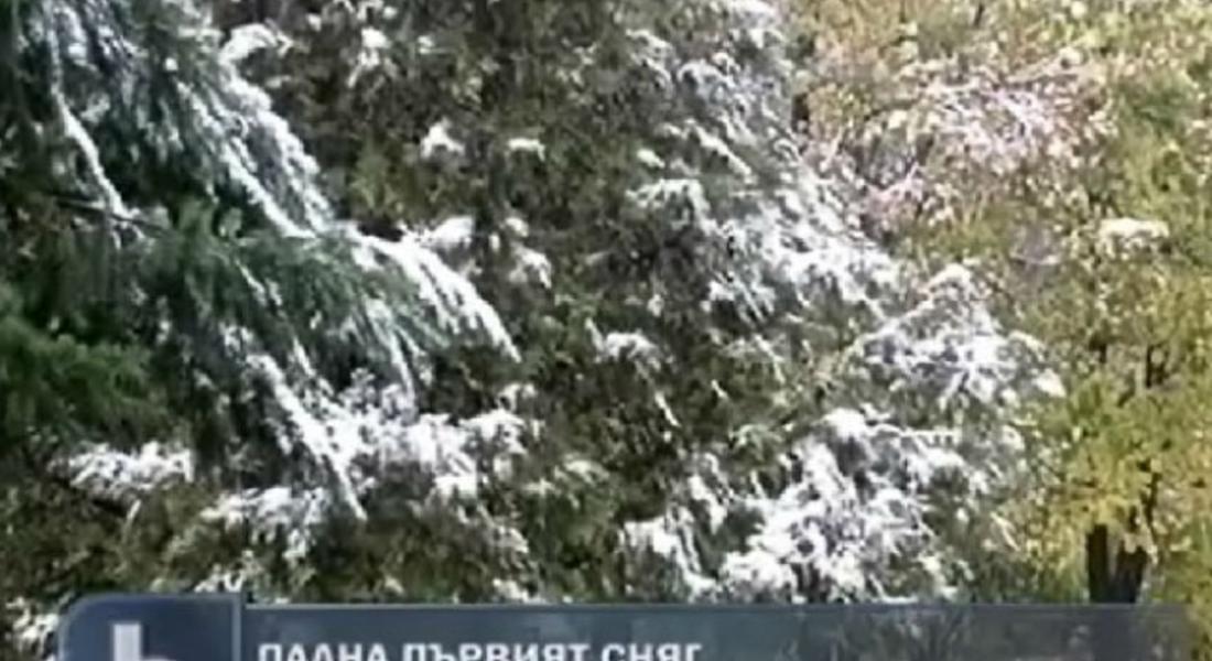Първи сняг падна на Рожен