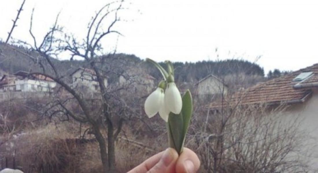 Седмицата: слънчева и топла до 12°