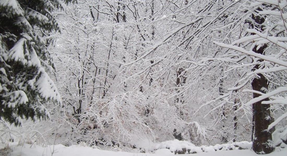 Днес застудява, от утре лошото време се връща