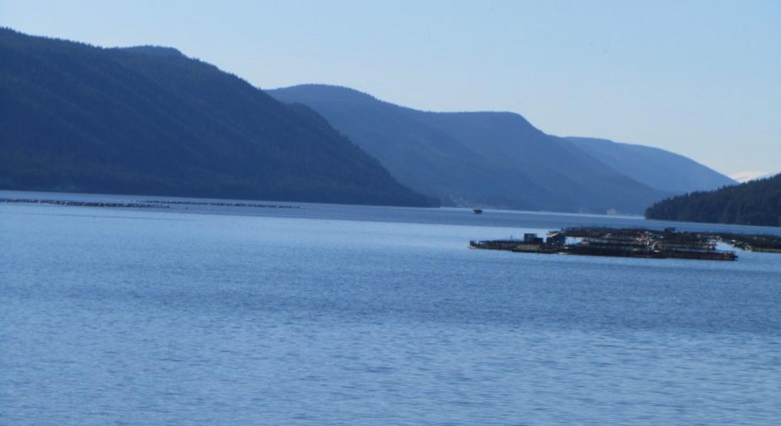 Изпускат контролирани водни количества от язовир "Доспат" на 11 май от 13 до 16 часа