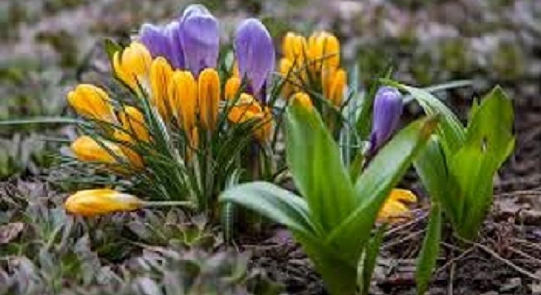 Очакват ни валежи, вижте докога ще продължат
