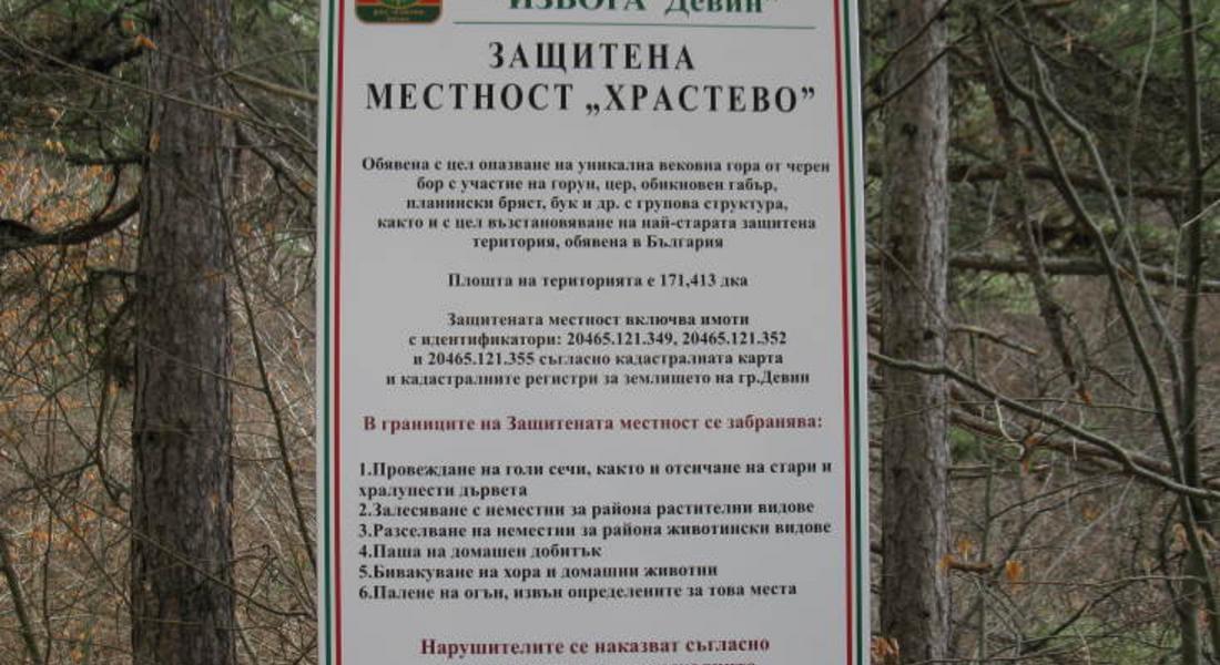Интересна седмица на гората се проведе в Девин