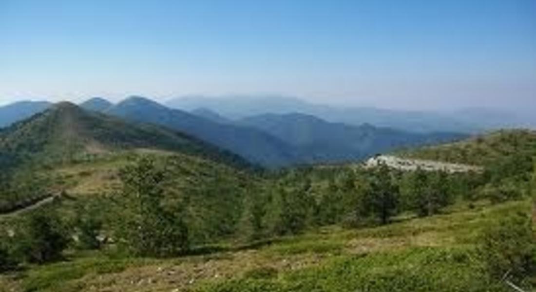 Два товарни автомобили се удариха по пътя Рожен - Соколовци