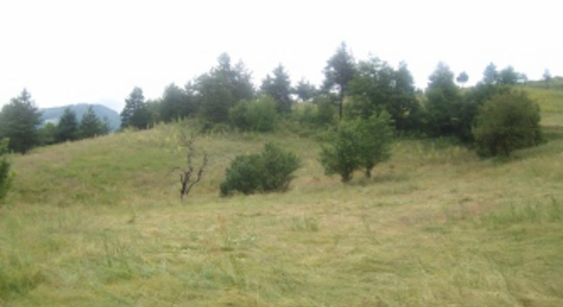 Израел има интерес към покупката на земи в България