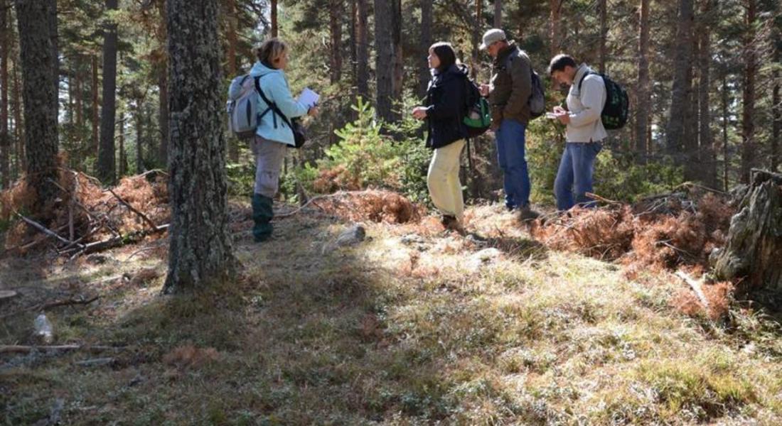 Експерти от БАН и музея в Смолян проведоха съвместни теренни издирвания на археологически обекти