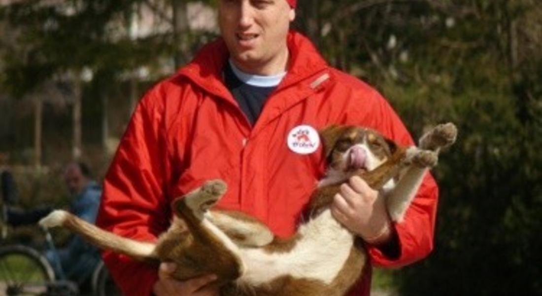 Днес е Световният ден за защита на животните