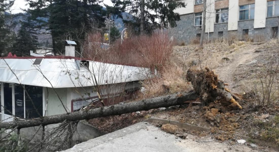 Повече от 15 смолянски села все още са без електричество
