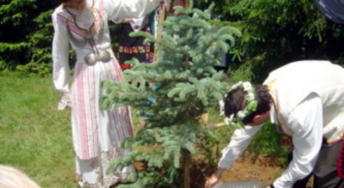 Влюбени се женят в астрономическата обсерватория