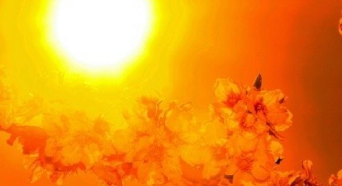 Слънце и до 30 градуса жега днес 