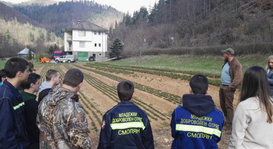 Младежите от МДО при РС ПБЗН – Смолян засадиха дръвчета в с. Смилян