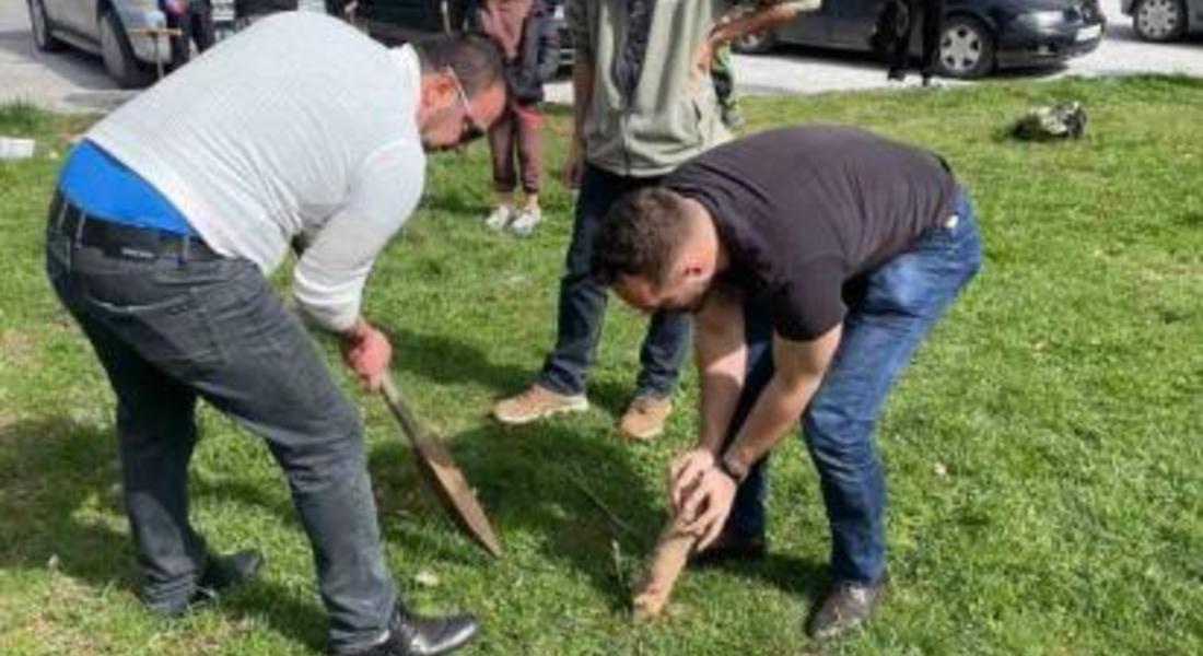 	 ДОБРОВОЛЦИ ЗАСАДИХА ДРЪВЧЕТА В СМОЛЯН