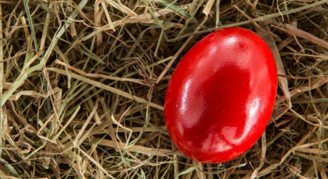 На Велики четвъртък боядисваме яйцата! 