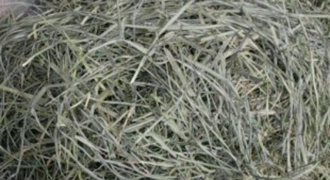 Горя селскостопанска постройка в смолянското село Требище
