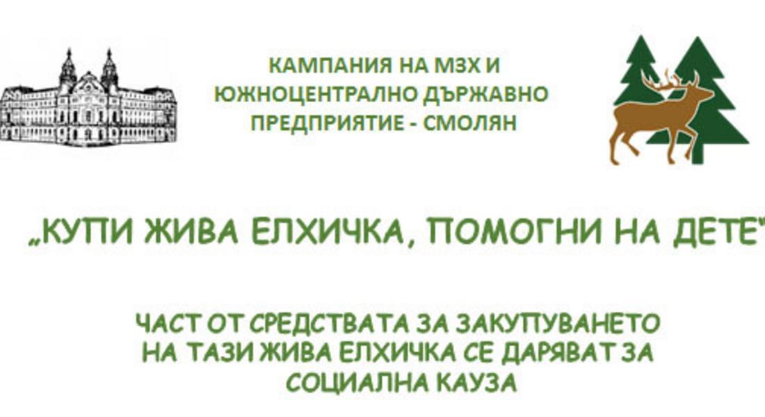 „Купи жива елхичка, помогни на дете“ 