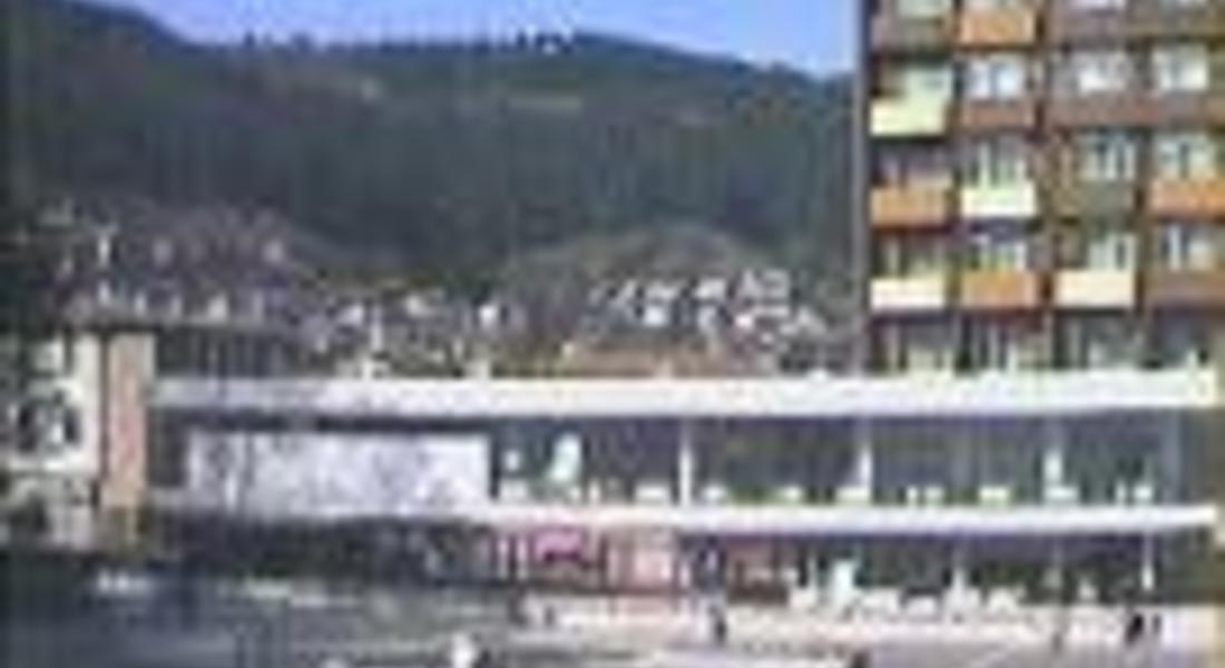 Застреляха три кучета в Чепеларе