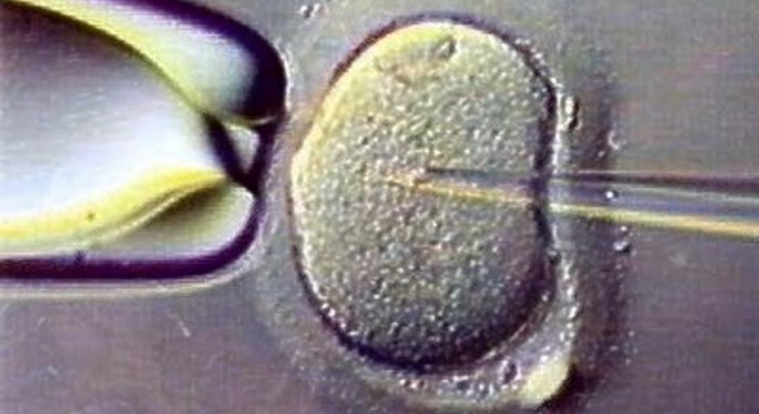 2316 жени са одобрени за инвитро процедури от началото на годината