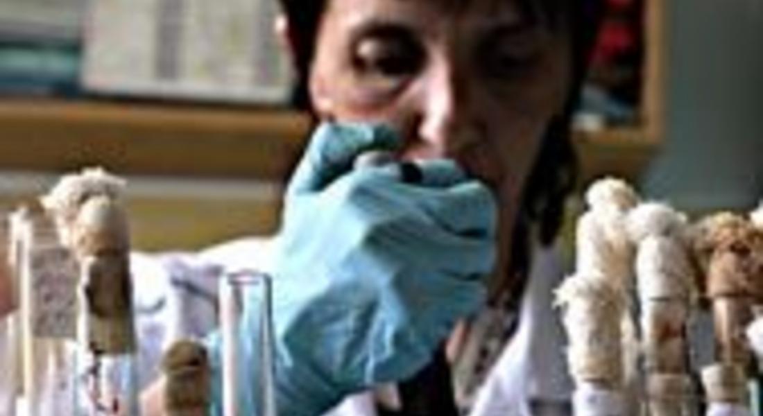 634 положителни проби на новия щам у нас