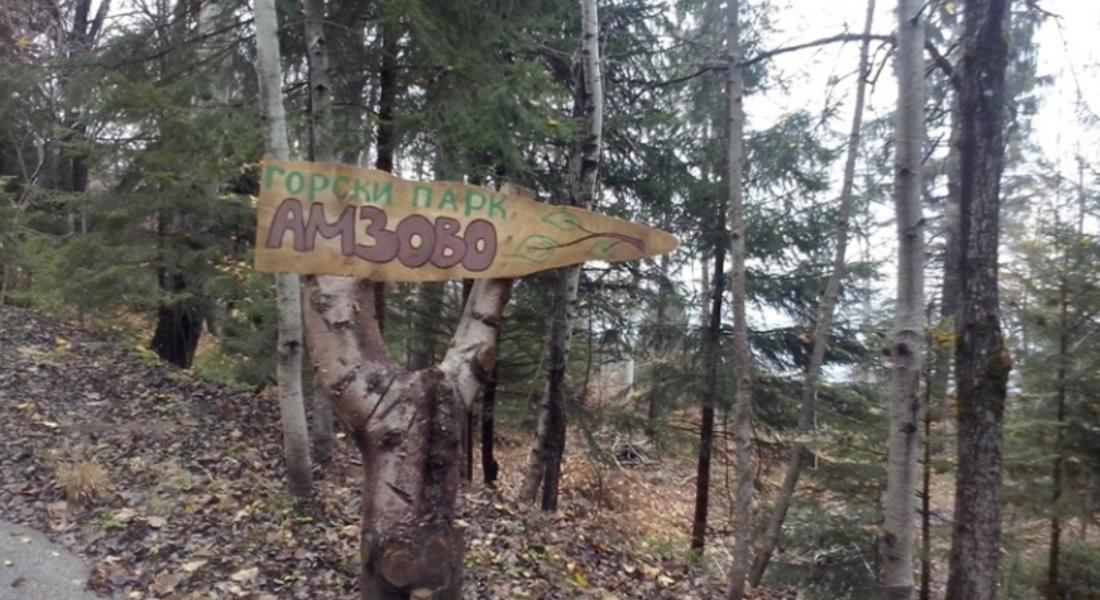 Малчугани поставиха къщички за птици в горски парк „Амзово”