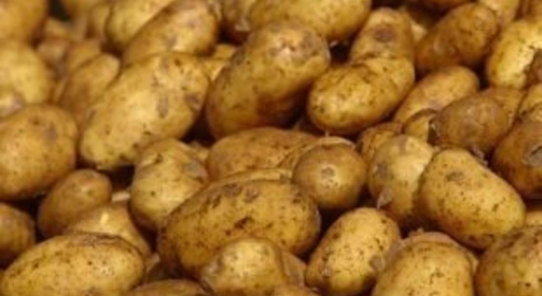  Жителите на родопски села дариха продукти на дом за възрастни хора
