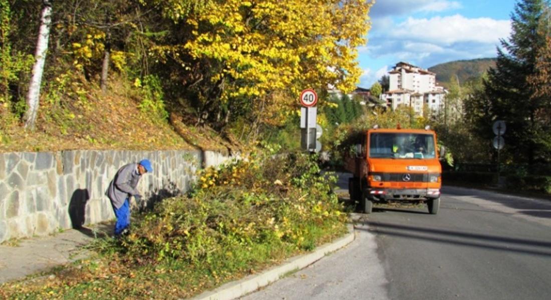 Продължава усилената работа по почистване на Смолян от опасни клони и дървета