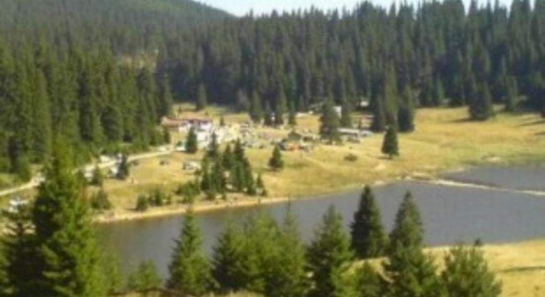 Двама младежи нанесоха щети на строителни материали в имота на 70-годишна жена от Виево