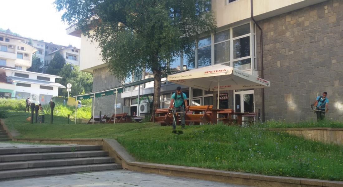 Всички централни градски части и около 10 детски площадки са окосени втори път