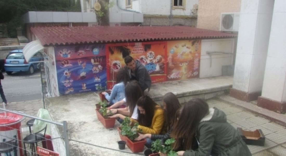 В Мадан засадиха цветя по повод Деня на Земята 