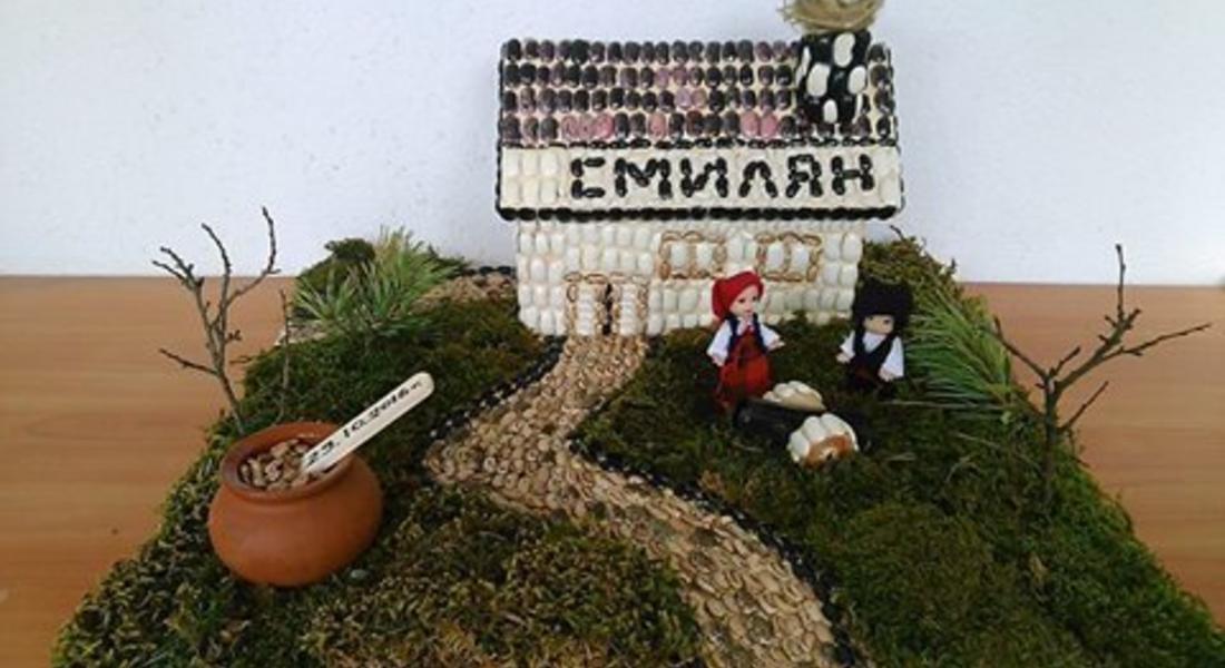   Нивите със смилянски фасул са засети