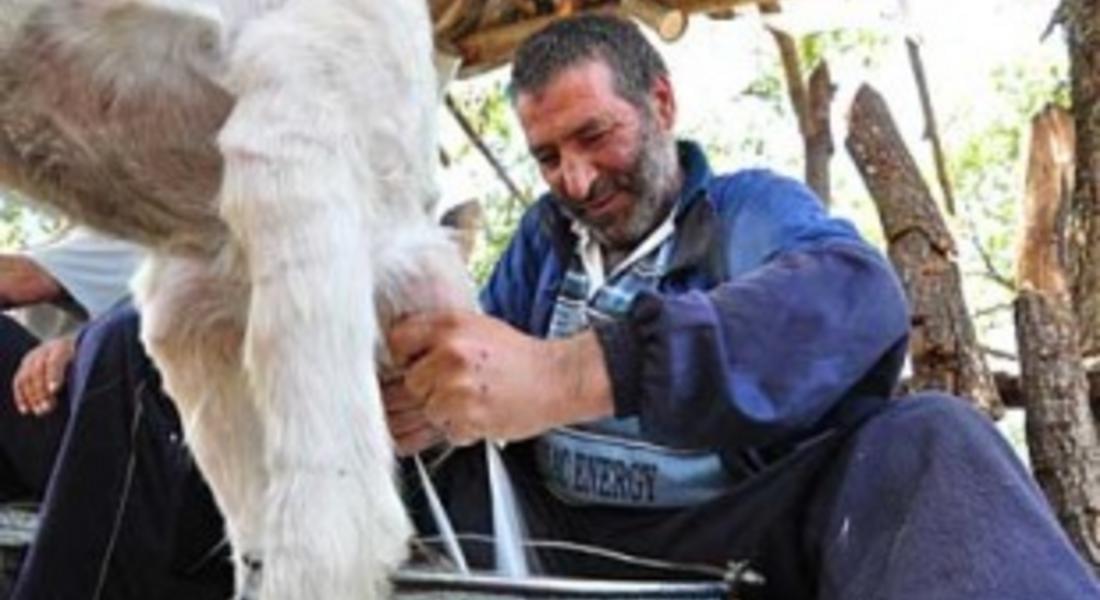 Отбелязаха традиционният празник “Предой” в смолянското село Кошница