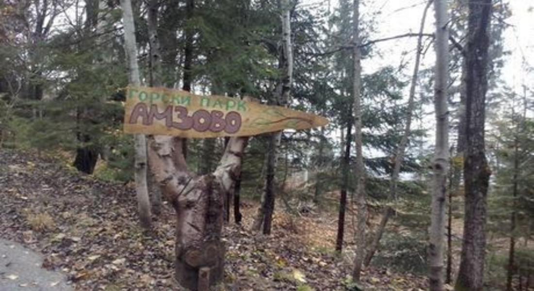 РИОСВ – Смолян провери сигнал за възникнал пожар в резерват