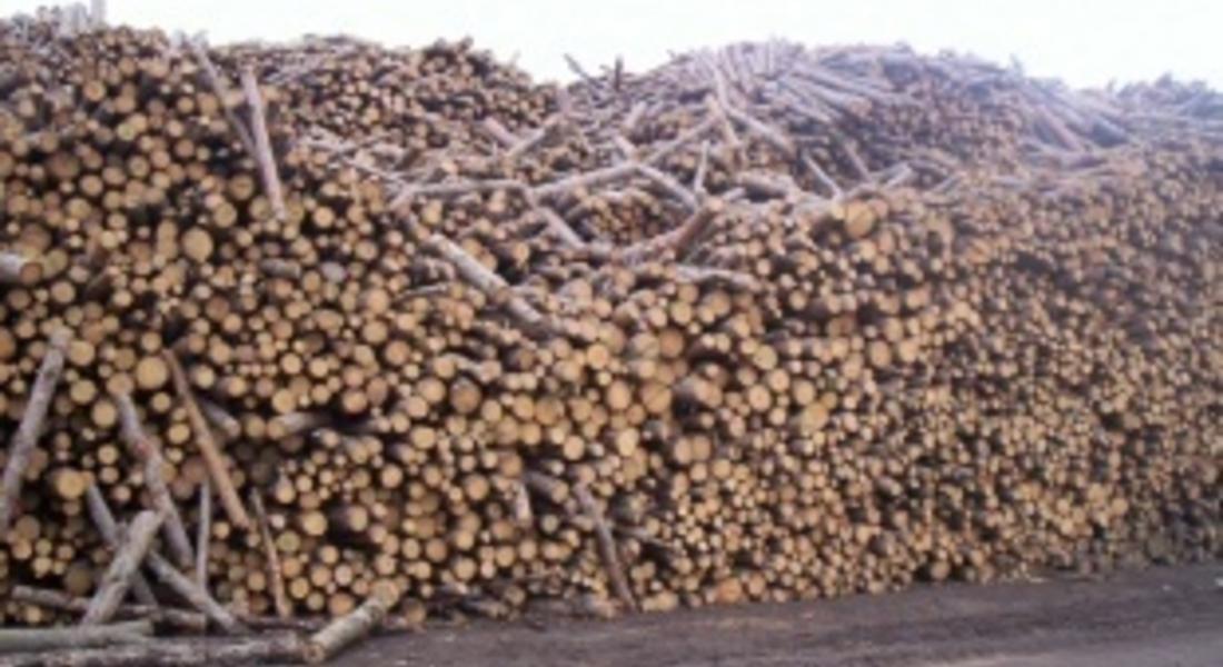 Момче от Смилян откраднал дърва за огрев