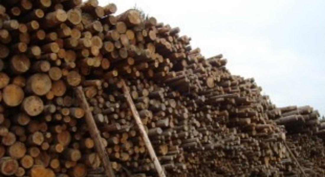 Спипаха камион с немаркирани дърва в Мадан