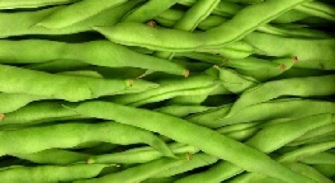 Откраднаха селскостопанската продукция на 74-годишен смолянчанин