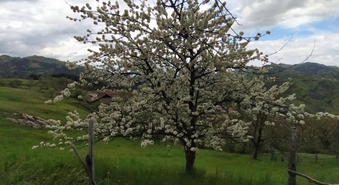 През май времето ще е динамично