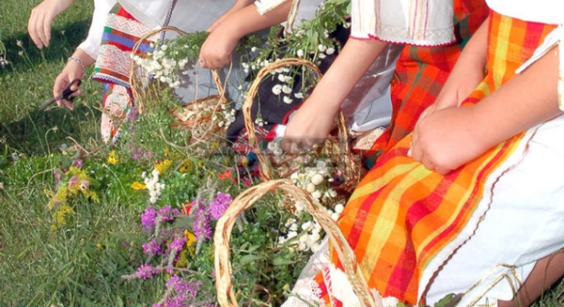 Ритуал за Еньовден изпълниха край родопското село Горна Арда тази нощ