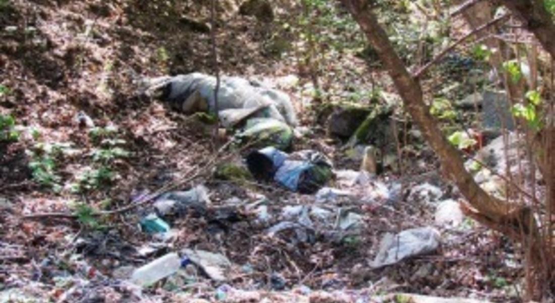 Световен ден за опазване на околната среда