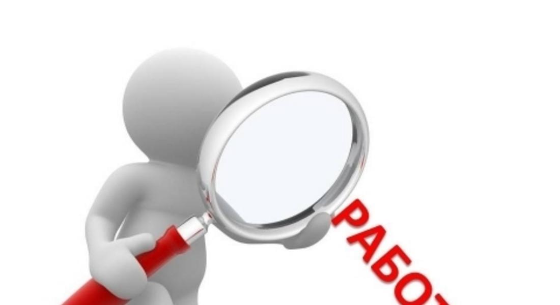 ЗА ВАС РАБОТОДАТЕЛИ